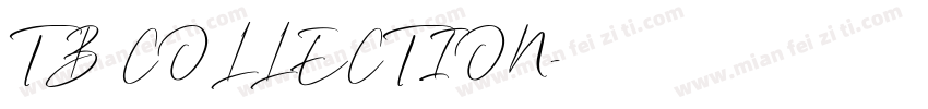 TB COLLECTION字体转换